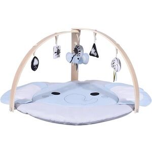Todales Foldable Baby Play Gym & Play Mat with 5 Sensory Toys